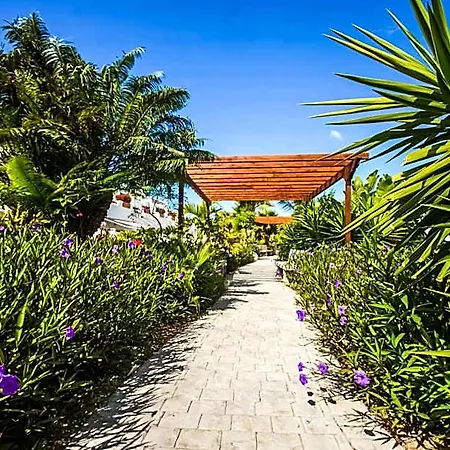 Parque Don Jose 4* Arona (Tenerife)